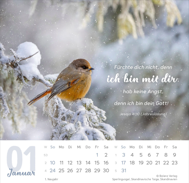 Meine Zeit 2027 - Aufstellkalender