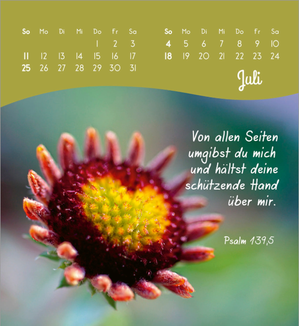Von Herzen ein glückliches Jahr 2027 - Aufstellkalender